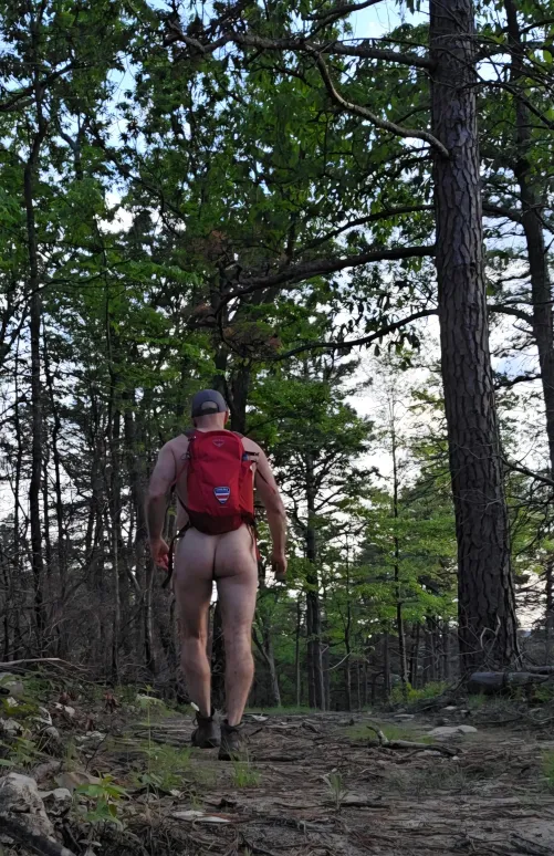 The cool of the evening