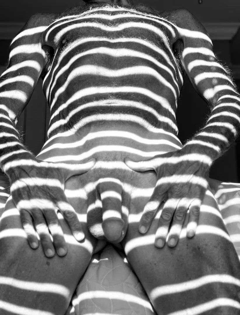 The eye of the tiger