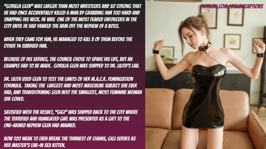 The Gorilla and the Kitten