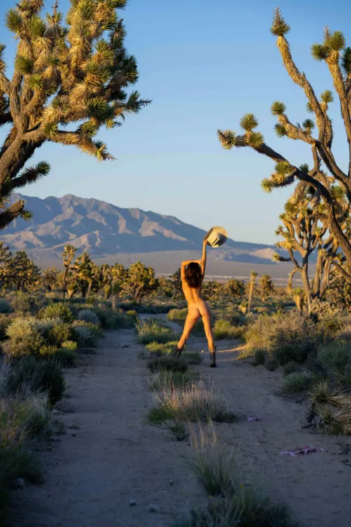 The joshua trees call to me