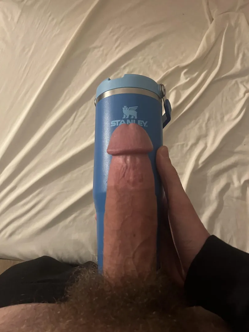 The last milf said keep the bush, wdyt?