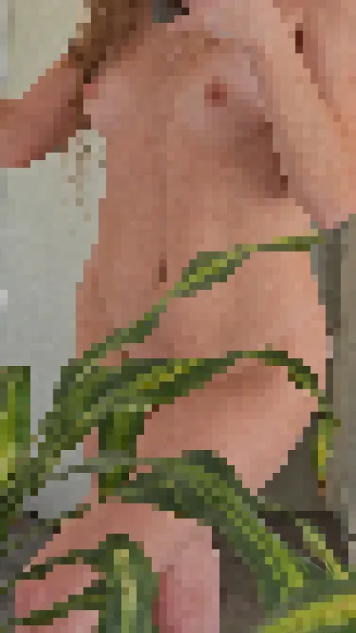 The pixels are there for your own good... you're not ready to see more yet.