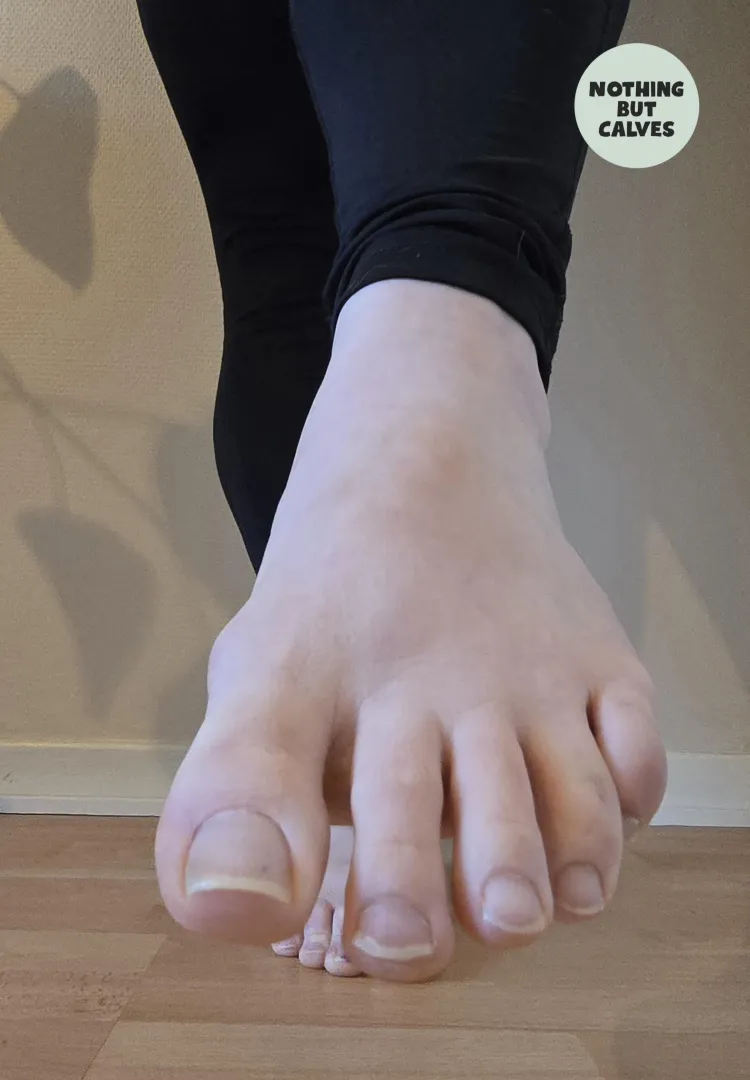 They look even bigger live