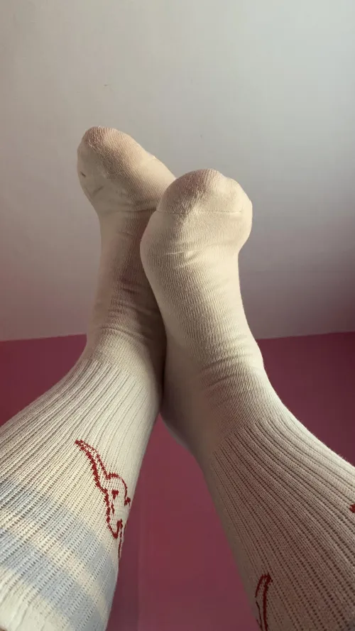 They smell like me. They smell of superiority. And you can only kneel.