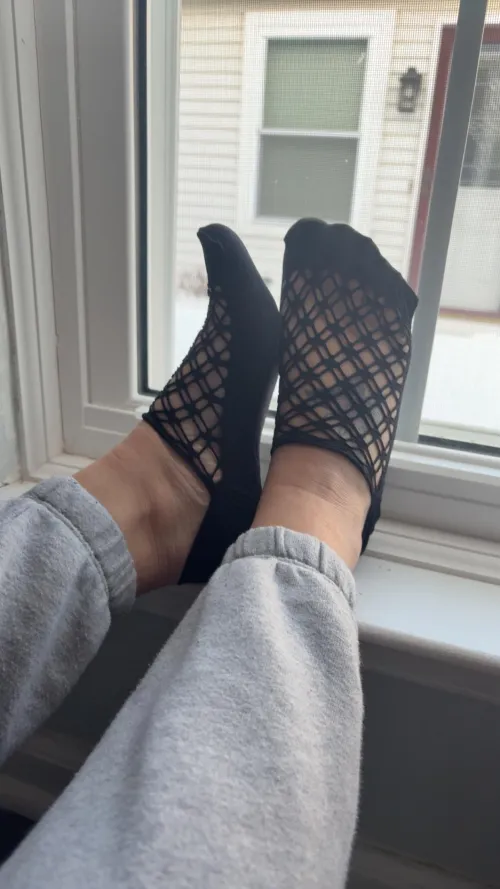 Think the neighbor took a peek? 