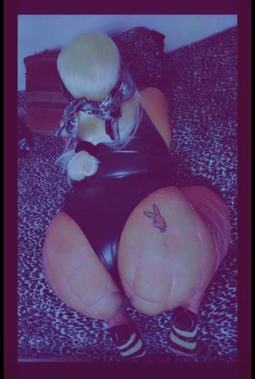 This bunny is partying this weekend for superbowl! Who's joining?