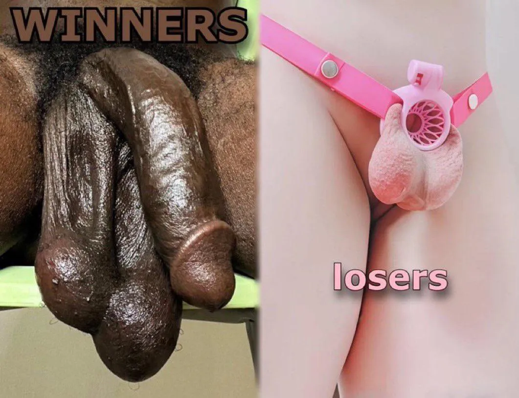 This has me soaked what the actual fuck !!