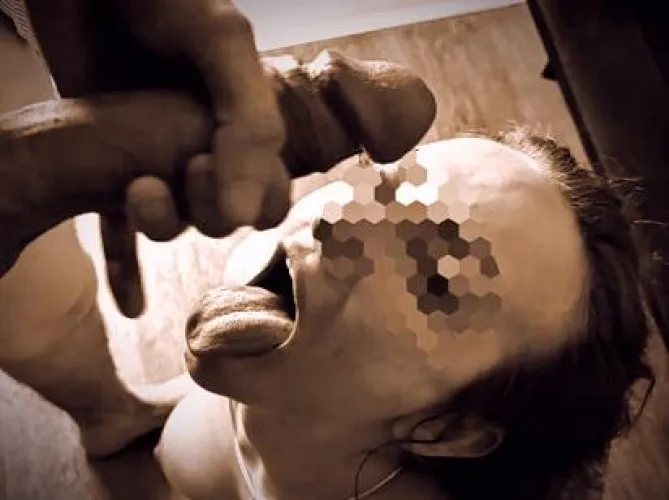 This is how you should serve your owner.