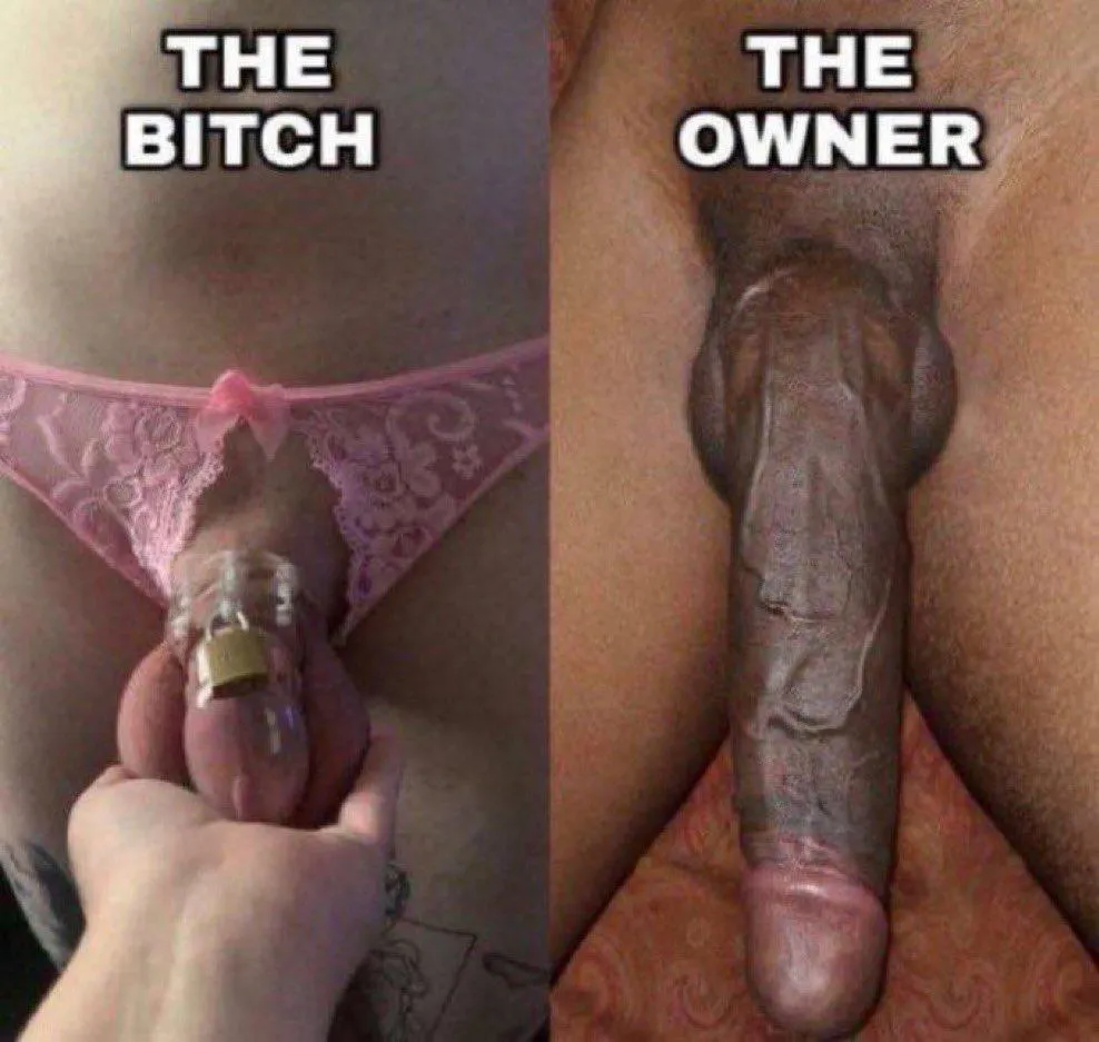 This is what a real dick is