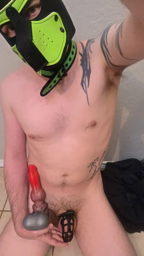 This pup is having a good time