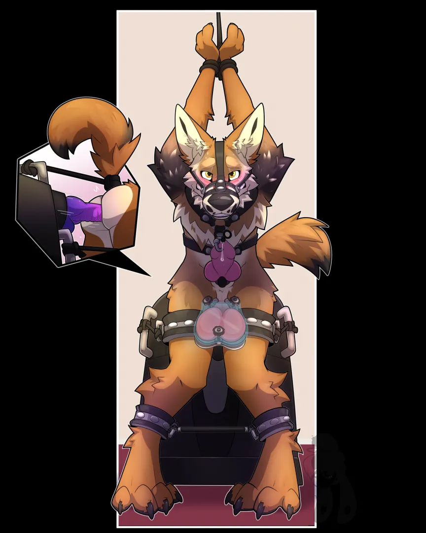 Tied to the ride (yiffy1234)