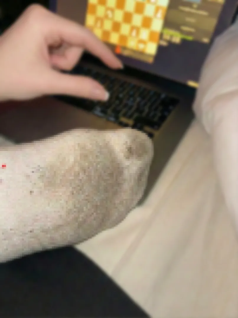 tiny beta shrimps get dirty censored socks