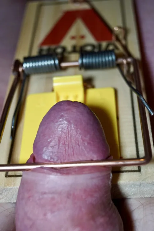 Trapped with nowhere to go