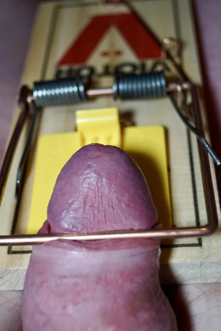 Trapped with nowhere to go