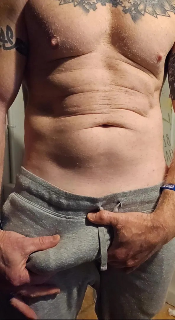 traveling Bull /stag for hot wives or vixens. Clean fixed professional traveling through Tn regularly very familiar with bull/stag scenarios highly recommended in the swinger communities