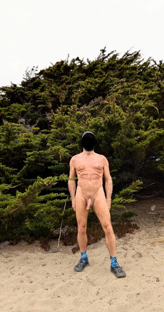 Tree Pose Tuesday: in the coastal juniper grove.