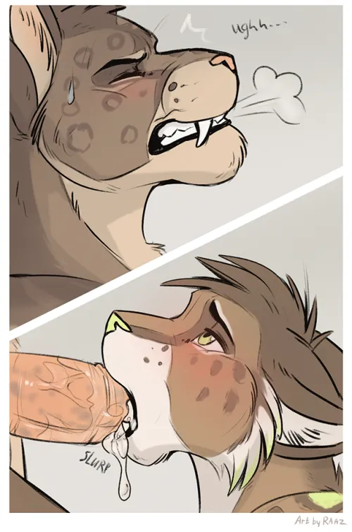 Twoo gaay cats :3 (Raaz)