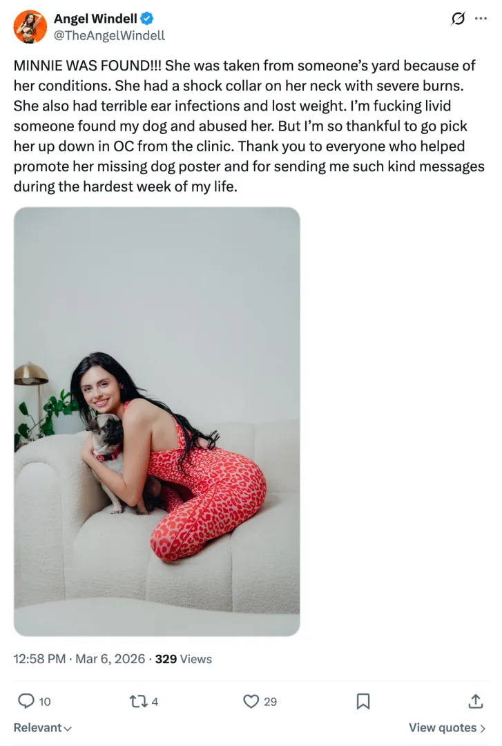 Update: Angel Windell's Lost Dog Has Been Found