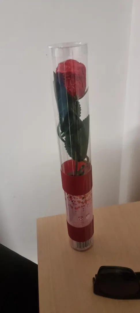 Valentine celebration with CCK auckland