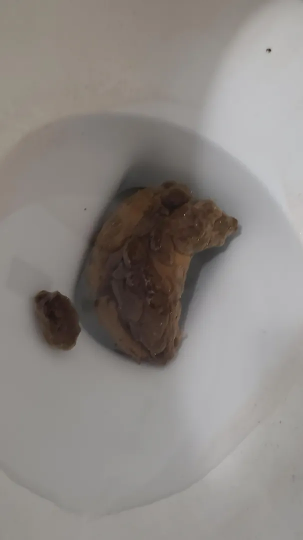 Valentines shit platter video message Me