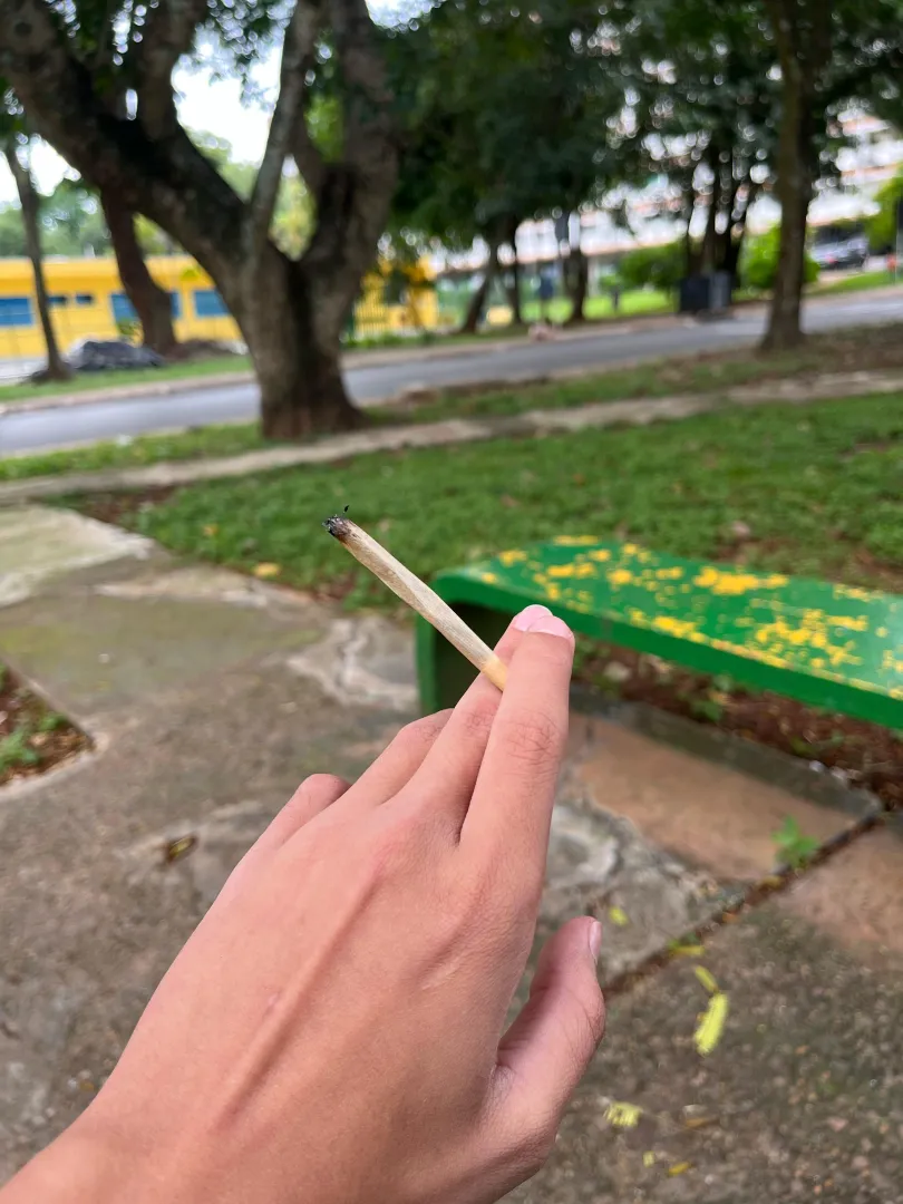 vcs geralmente fumam o que?