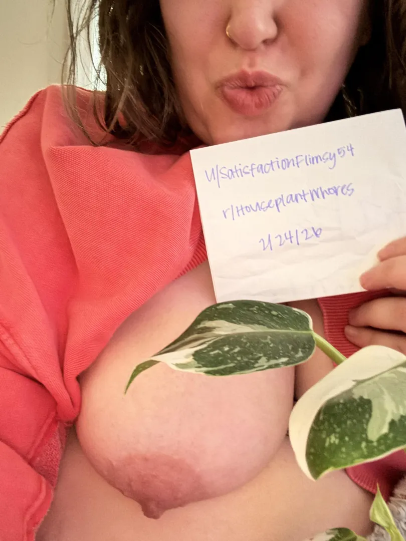 Verification Post
