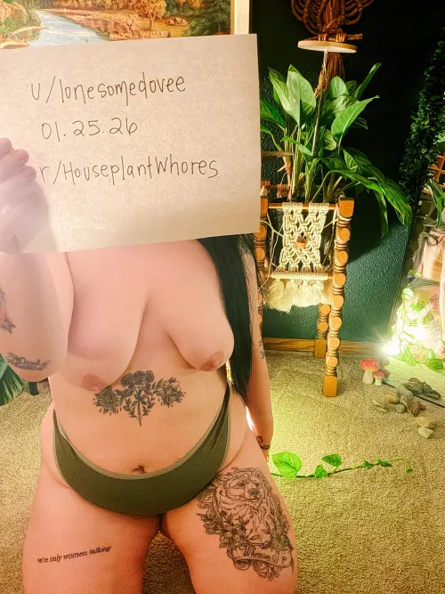 Verification post (my aglaonema says hi)