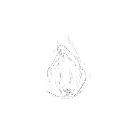 Vulva Sketch by Me