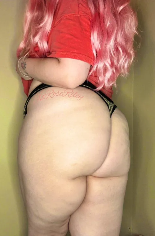 Wagon Wednesday should be a global holiday