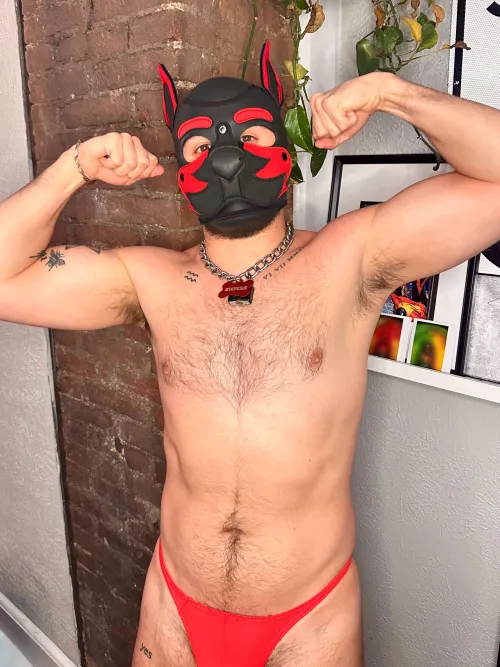 ‍‍ wannabe himbo dog