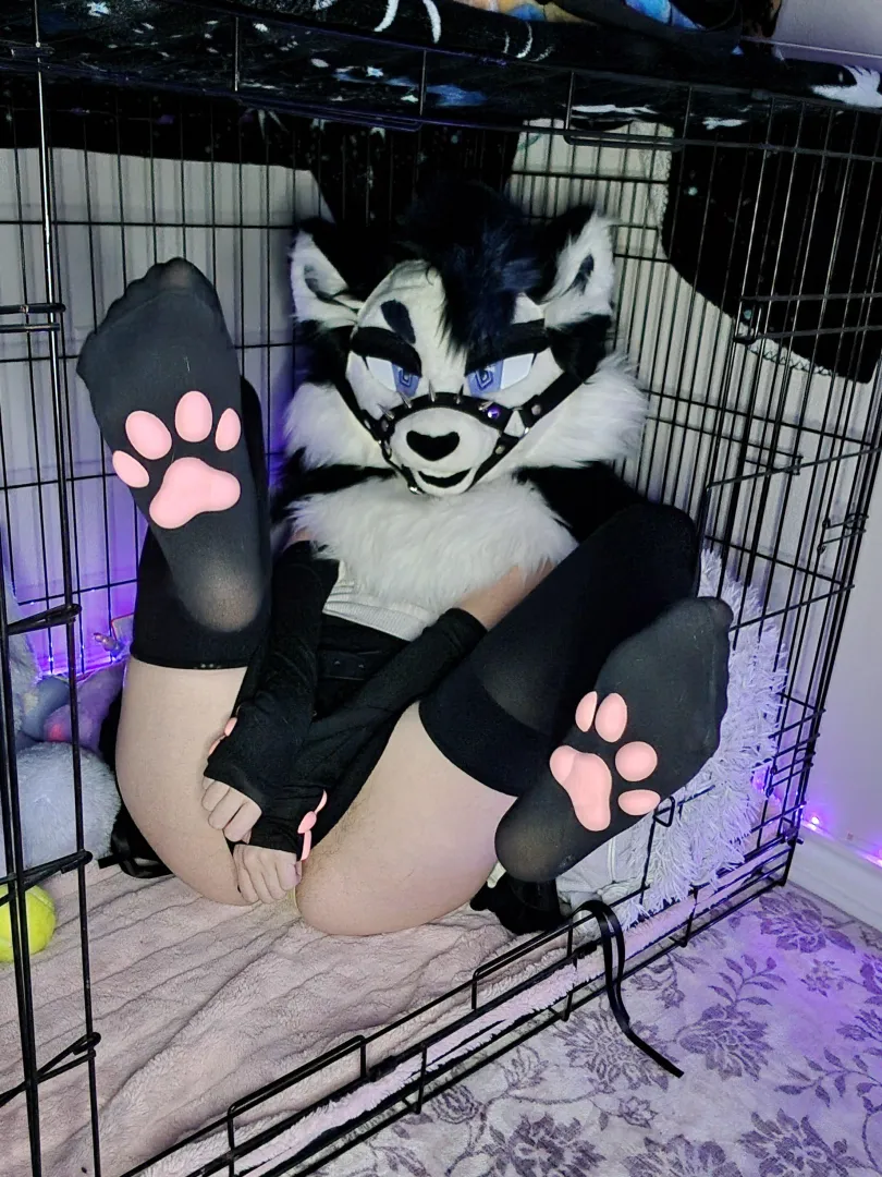 Want to see whats underneath? (He/him)