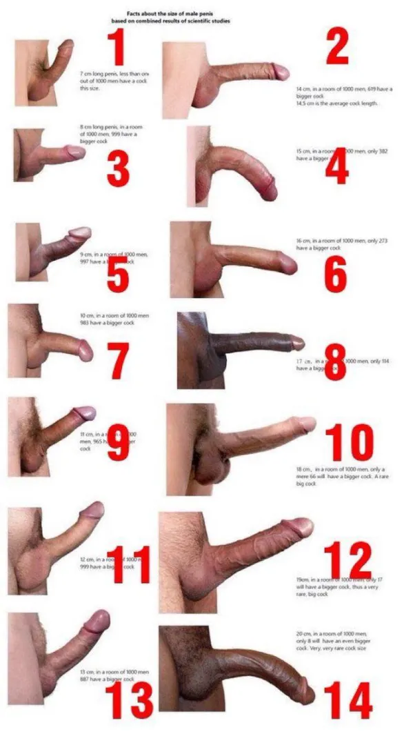 Was sucking last night. Drank wayyy too much lol. Woke up this morning with my ass sore and my dildo on the ground. Now im curious what’s the shape of you all