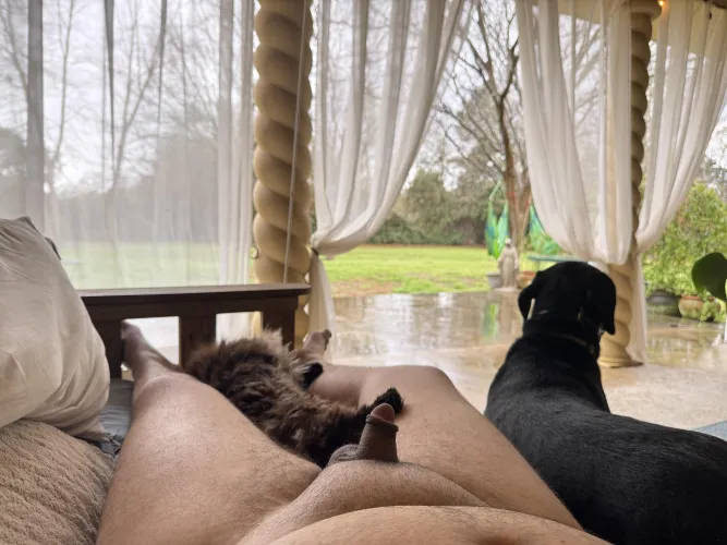 We are enjoying some rain