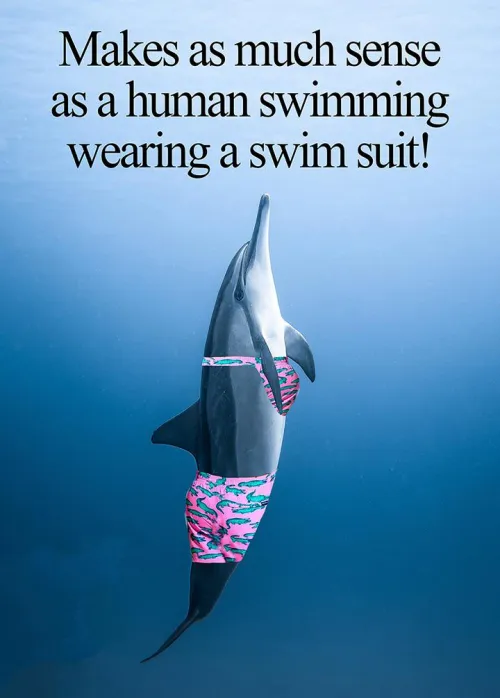 We need to examine the purpose of clothes.