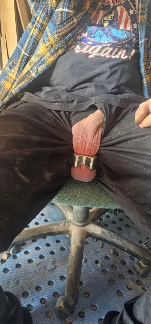 Weather's good in the uk for once, ive got a day off so im in my workshop letting the boys breathe