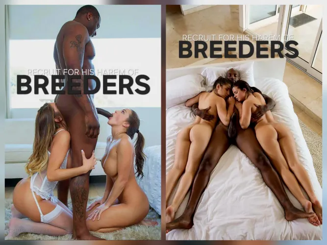 Welcome to my House of Bunnies!