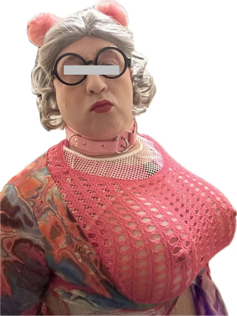 Westland/Wayne Sissy