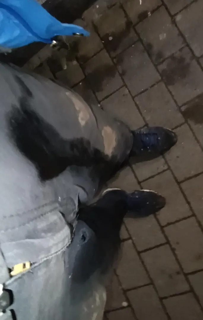 Wet myself while shopping last night...