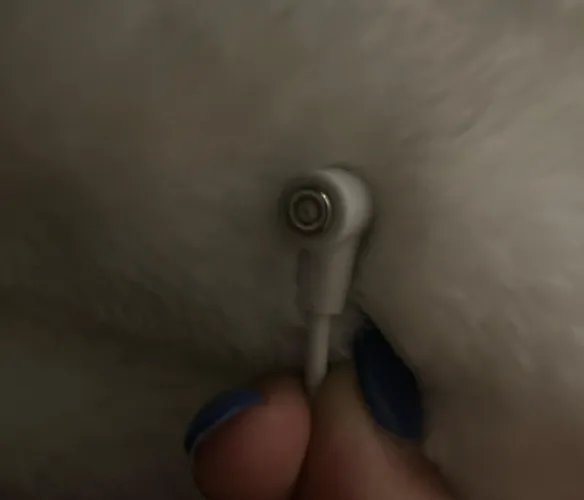 What can I do to fix this?