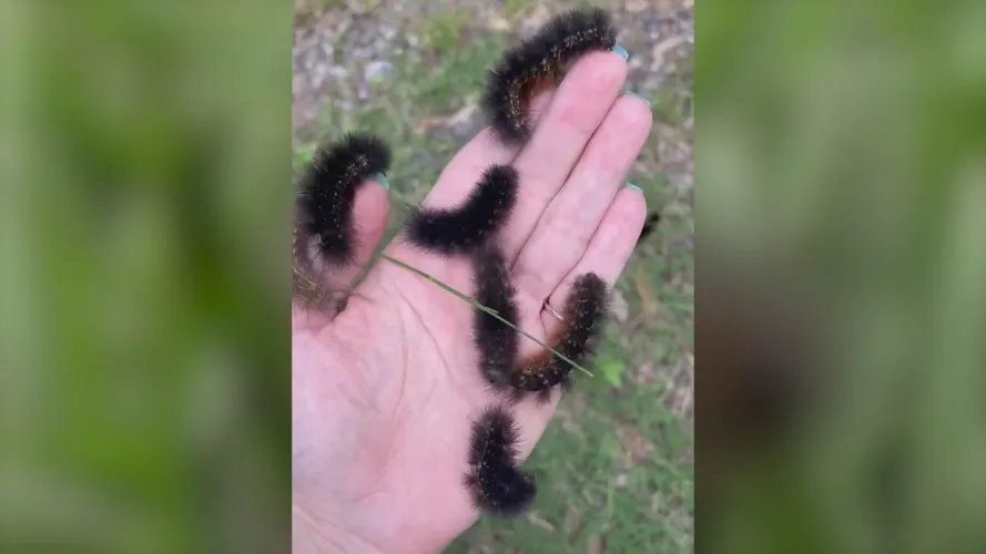 What can I knit with this yarn?