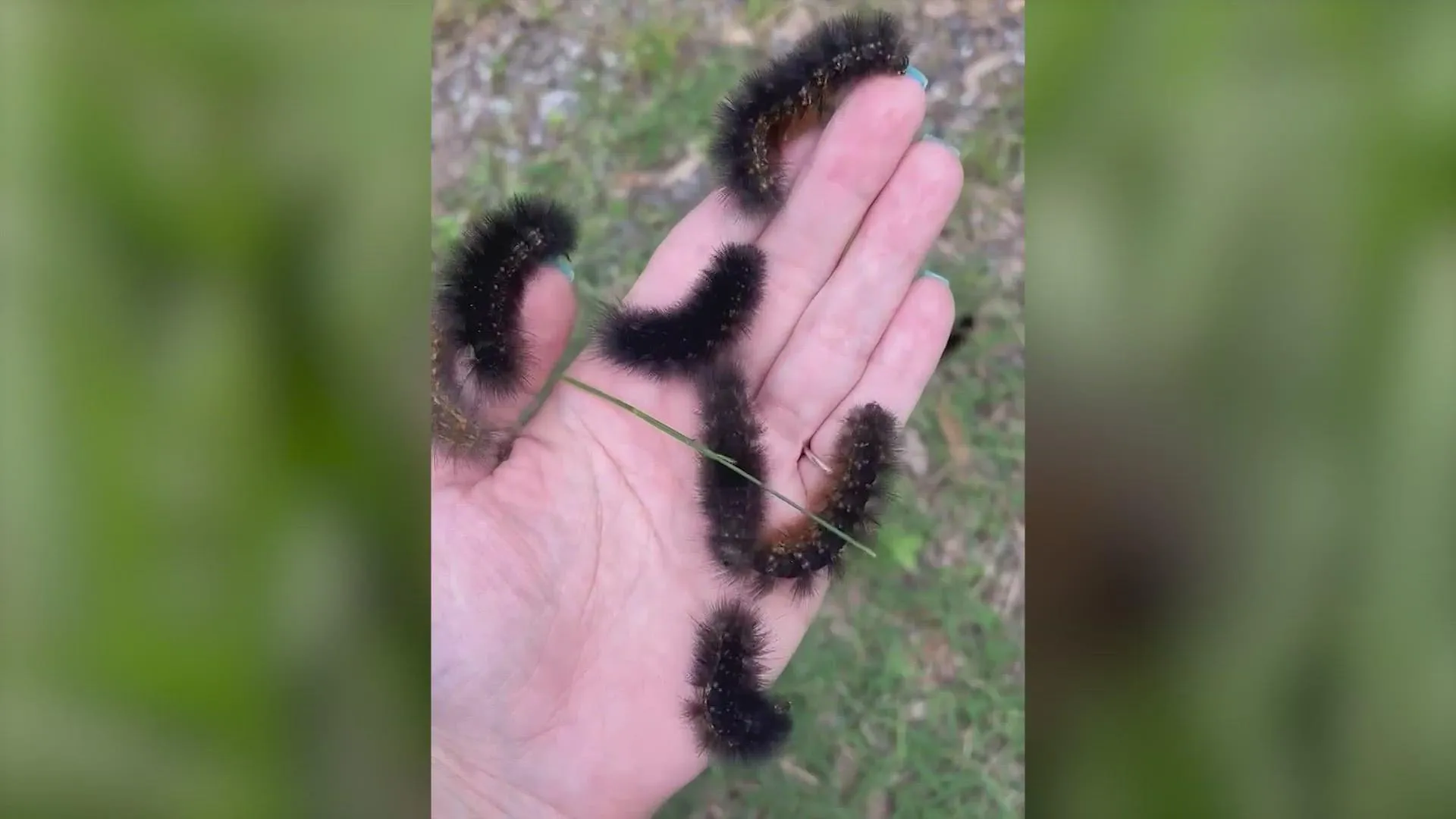 What can I knit with this yarn?