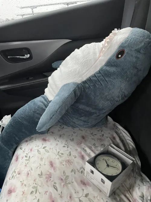 What do I name him???