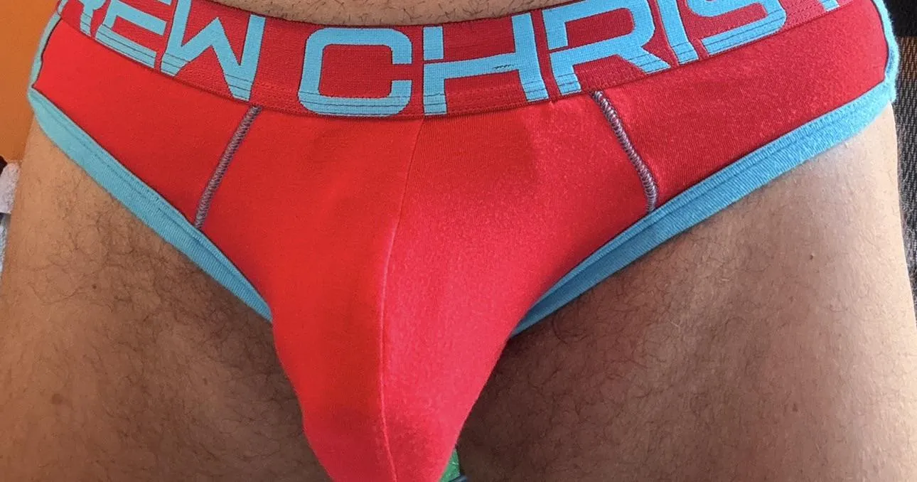 What do you all think