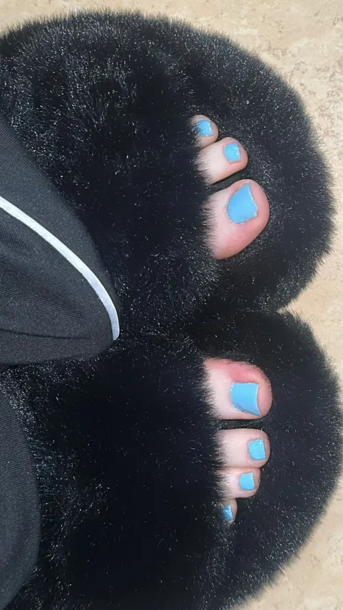 What do you think of my blue toes in my slippers