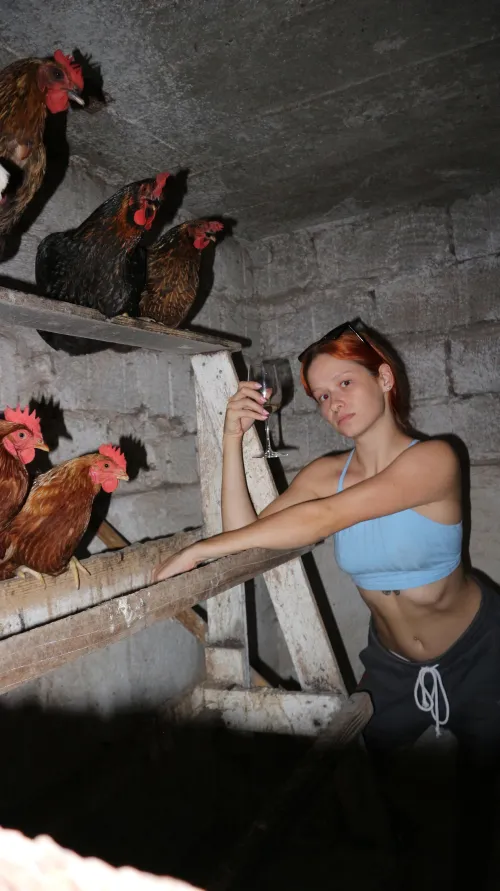 What happens in the hen house stays in the hen house