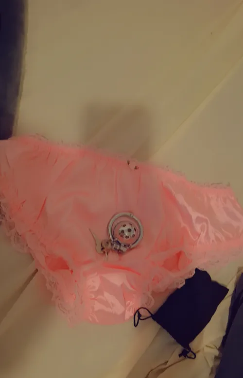 What has bambI ordered now!!