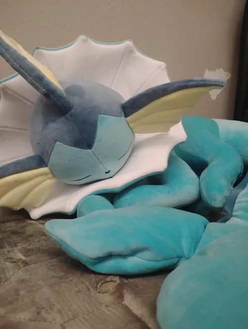 What should I with my vaporeon? ~