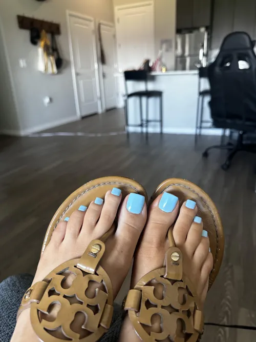 What’s better than Tory’s