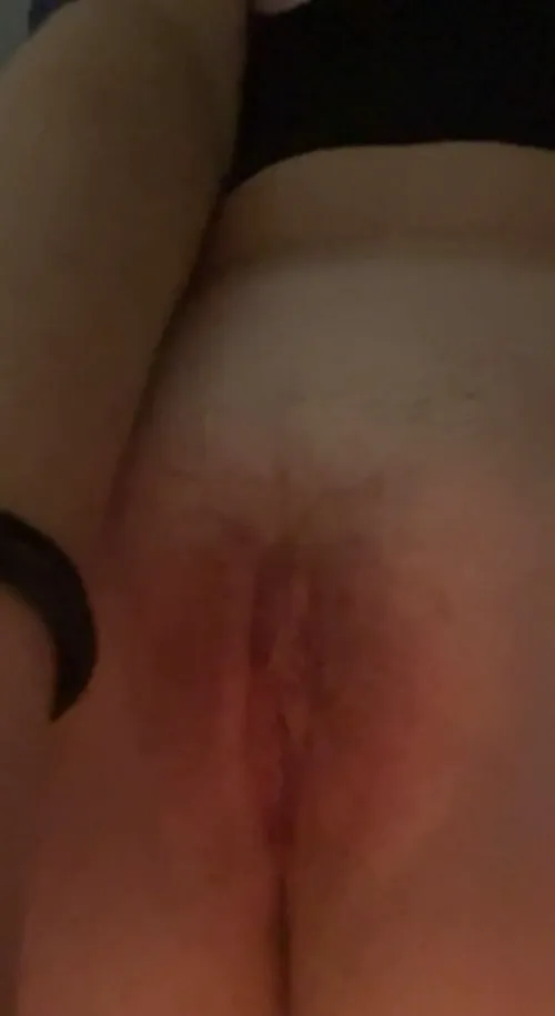 What's the mood here? snapchat:harpiecotton