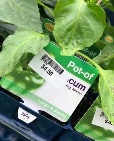 When she leaves you but there’s reminders everywhere 